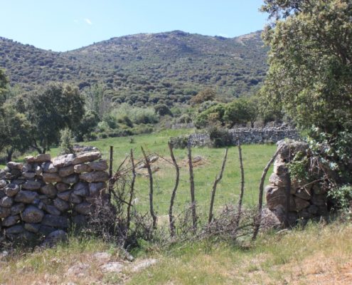 El_Caloco_y_los_hornos_del_Zancao__11_