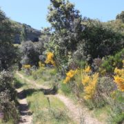 El_Caloco_y_los_hornos_del_Zancao__13_