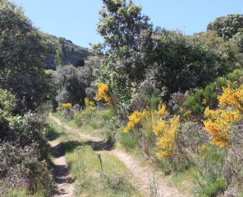 El_Caloco_y_los_hornos_del_Zancao__13_