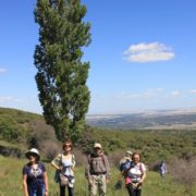 El_Caloco_y_los_hornos_del_Zancao__15_