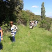 El_Caloco_y_los_hornos_del_Zancao__16_