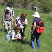 El_Caloco_y_los_hornos_del_Zancao__18_