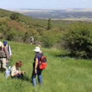 El_Caloco_y_los_hornos_del_Zancao__19_