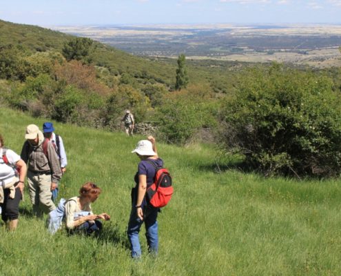 El_Caloco_y_los_hornos_del_Zancao__19_