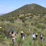 El_Caloco_y_los_hornos_del_Zancao__25_