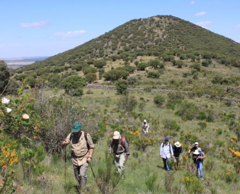El_Caloco_y_los_hornos_del_Zancao__25_