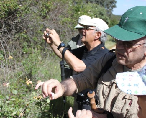 El_Caloco_y_los_hornos_del_Zancao__5_