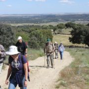 El_Caloco_y_los_hornos_del_Zancao__8_
