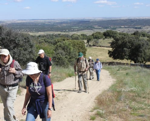 El_Caloco_y_los_hornos_del_Zancao__8_