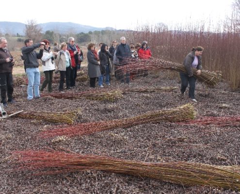 0008_Ruta_del_mimbre_Villaconejos_de_Trabaque__8_