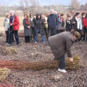 0010_Ruta_del_mimbre_Villaconejos_de_Trabaque__10_