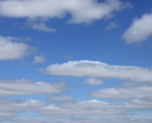 001_Primavera_en_los_Arribes