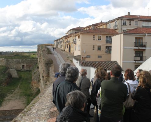 0029_Visita_cultural_Ciudad_Rodrigo_IV