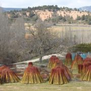 0036_Ruta_del_Mimbre_Cañaveras__32_