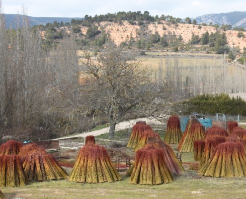 0036_Ruta_del_Mimbre_Cañaveras__32_