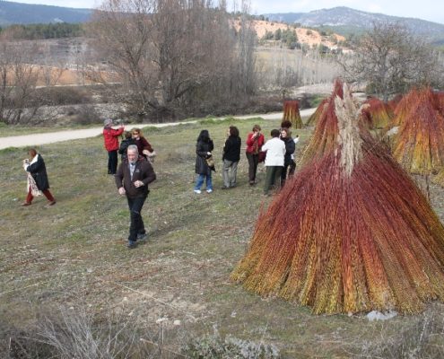 0037_Ruta_del_Mimbre_Cañaveras__31_