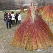 0038_Ruta_del_Mimbre_Cañaveras__30_