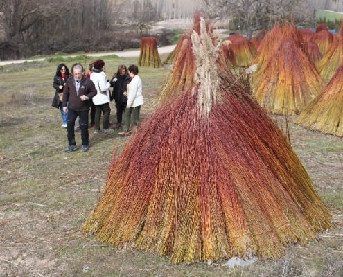 0038_Ruta_del_Mimbre_Cañaveras__30_