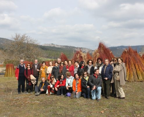 0039_Ruta_del_Mimbre_Cañaveras__29_