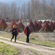 0040_Ruta_del_Mimbre_Cañaveras__28_