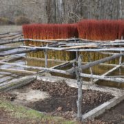 0042_Ruta_del_Mimbre_Cañaveras__26_