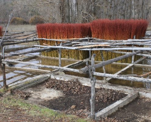 0042_Ruta_del_Mimbre_Cañaveras__26_