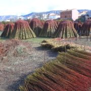 0045_Ruta_del_Mimbre_Cañaveras__23_