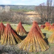 0047_Ruta_del_Mimbre_Cañaveras__21_