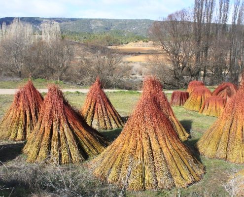 0047_Ruta_del_Mimbre_Cañaveras__21_