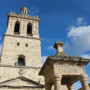 0052_Visita_cultural_Ciudad_Rodrigo_XII