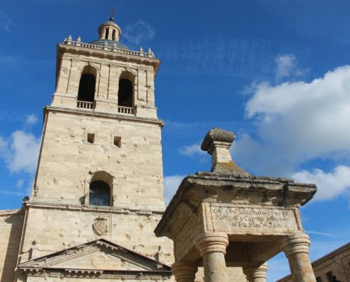 0052_Visita_cultural_Ciudad_Rodrigo_XII