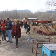 0053_Ruta_del_Mimbre_Cañaveras__3_