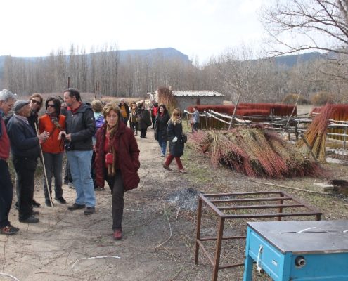 0053_Ruta_del_Mimbre_Cañaveras__3_