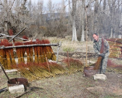 0055_Ruta_del_Mimbre_Cañaveras__1_