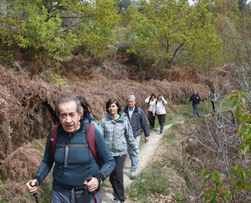 005_Senderismo_por_la_Sierra_de_Francia_II