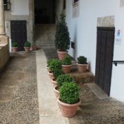 0060_Interior_del_palacio_de_Los_Ávila_y_Tiedra