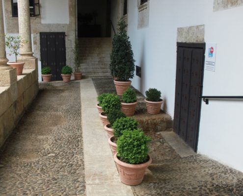 0060_Interior_del_palacio_de_Los_Ávila_y_Tiedra