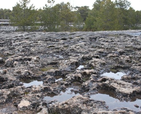 0061_Ciudad_Encantada__4_