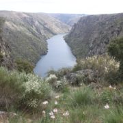0066_Parque_Natural_de_Los_Arribes_del_Duero