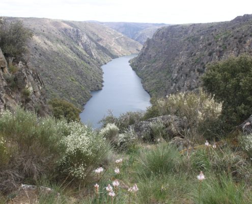 0066_Parque_Natural_de_Los_Arribes_del_Duero