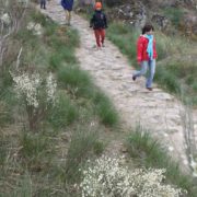 0068_Paseo_al_mirador_de_Felipe_arribes_del_Duero_II