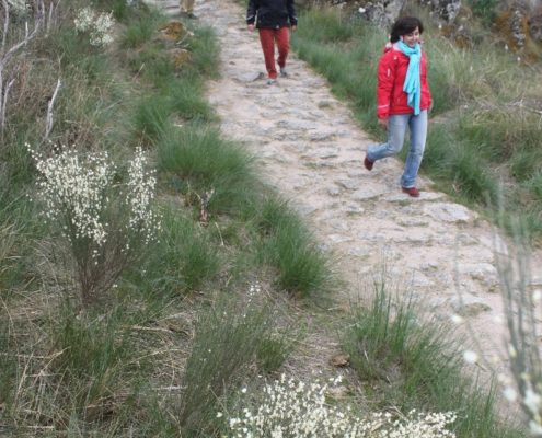 0068_Paseo_al_mirador_de_Felipe_arribes_del_Duero_II