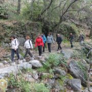 006_Sierra_de_Francia