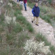 0071_Paseo_al_mirador_de_Felipe_arribes_del_Duero_V