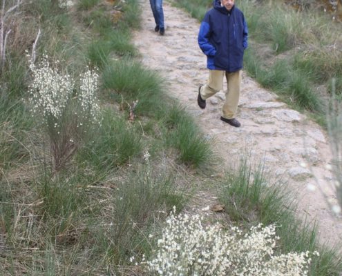 0071_Paseo_al_mirador_de_Felipe_arribes_del_Duero_V