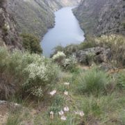 0075_Rio_Duero