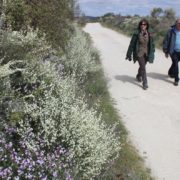 0077_Paseo_al_mirador_de_Felipe_arribes_del_Duero_VIII