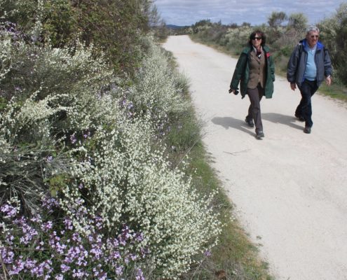 0077_Paseo_al_mirador_de_Felipe_arribes_del_Duero_VIII
