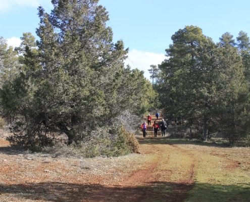 0085_Senderismo_hoz_del_río_Huécar