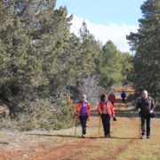 0086_Senderismo_hoz_del_río_Huécar__1_